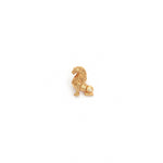 Load image into Gallery viewer, Royal Mane Lion Brooch
