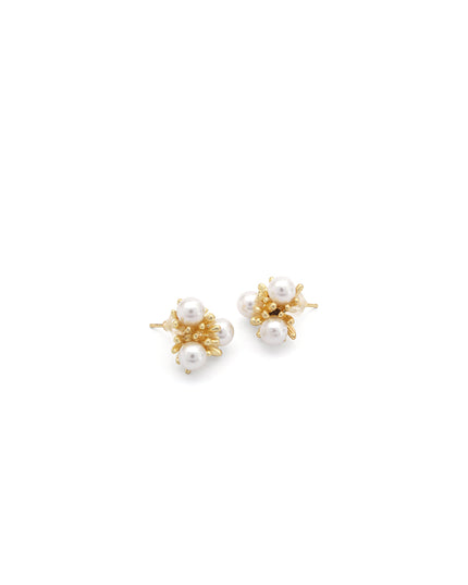 Fringe Earrings