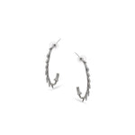 Load image into Gallery viewer, Antler Hoops
